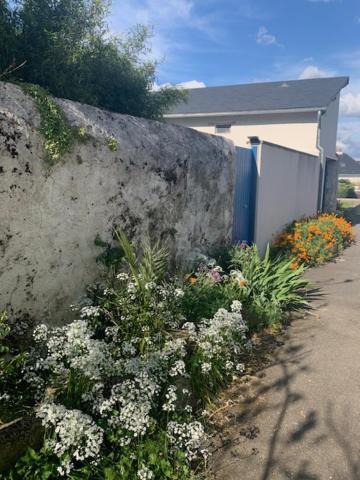 Chambre D'Hotes Les Petits Oiseaux Nantes Exteriör bild
